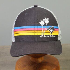 Toronto Blue Jays '47 Brand Spring Training Trucker Hat Gray/White Mesh Snapback